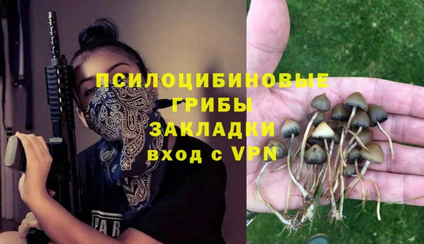 метамфетамин Богородицк