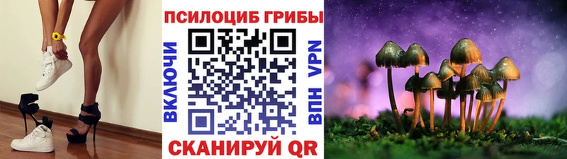 Купить где  Анапа  Псилоцибиновые грибы GOLDEN TEACHER 